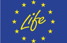 Logo Life